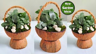 how to make moss gardenmoss garden in coconut shell new method [upl. by Alim282]