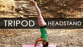 Yoga Poses Tripod Headstand Workout Tutorial I 4 [upl. by Orfurd]