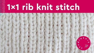 1x1 Rib Stitch Knitting Pattern for Beginners 2 Row Repeat [upl. by Nrubyar650]