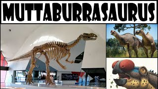 Muttaburrasaurus Bemutatása  Magyarul [upl. by Schulman598]