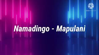 Namadingo  Mapulani lyrics [upl. by Lon846]