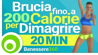 Esercizi per Bruciare 200 Calorie in 20 Minuti e Dimagrire Velocemente  Perdere Peso a Casa [upl. by Alysa]