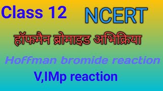 Hoffmann bromide reactionहॉफमैन ब्रोमाइड अभिक्रिया [upl. by Ellehciram674]