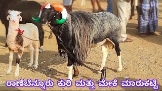 Ranebennur sheep and goats market update Every Sunday morning bazar Karnataka India [upl. by Eelyr]