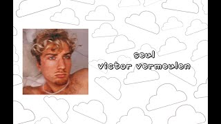 Victor Vermeulen seul  lyrics vidéo [upl. by Litha]