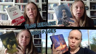 VLOG DU 14 au 22 octobre 2024 📃 [upl. by Eamanna]