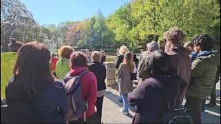 Passeggiata resistente alla fondazione Mirafiore [upl. by Andrey484]