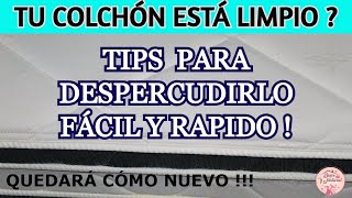 ⛔ con éste método TU COLCHÓN quedará cómo recién comprado  Dulce y Natural [upl. by Ahsieka]