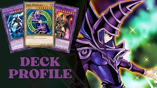 Dark magician deck profile Actualización Diciembre 2024 [upl. by Zola320]