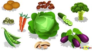 Learn Vegetables Vocabulary in English [upl. by Erb]