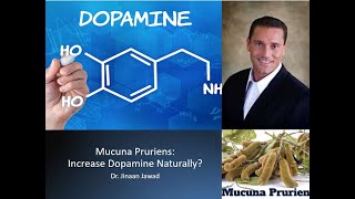 Mucuna Pruriens Does It Increase Dopamine Naturally [upl. by Curren]