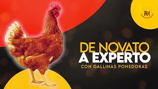 De Novato a Experto con Gallinas Ponedoras  Curso online [upl. by Mitman948]