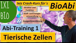 Tierische Zellen  Anwendungsaufgaben zur Abivorbereitung AbiTraining 1 Bau der tierischen Zelle [upl. by Nari]