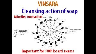 10TH ch4 topic cleansing action of soap Micelle formation [upl. by Ahsir]