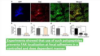 FAK displacement shows promise in combating cancer progression [upl. by Hizar144]