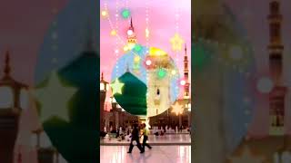 Nadan ki bilkul nahin pata naat viralvideo quotes 👍👍👍💐💐 [upl. by Ahsatsan]