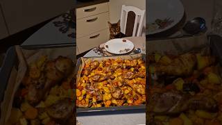 Wats for dinner 😸👌 Kas vakarienei dinner beautifulcat funnyvideo [upl. by Alyled]