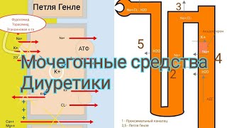 Фармакология лекции Мочегонные средстваДиуретики [upl. by Roque]