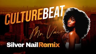 Culture Beat  Mr Vain Silver Nail Video Mix [upl. by Ahseikram]