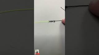 Fly Fishing Streamer Leader Quick Tip  The Fly Guy [upl. by Garner]