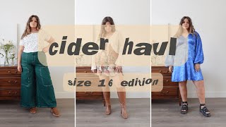 Plus Size Fall Haul  CIDER CURVE HAUL  Size 16 Edition [upl. by Arada]