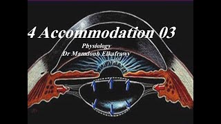 04Accommodation part3 فسيولوجي عيون Elkafrawy ocular Physiology [upl. by Castera]