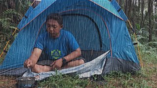 FULL SOLO CAMPING IN THE RAIN FOREST  RELAXING IN THE TENT WITH THE SATISFYING SOUND  ASMR SOUND [upl. by Chapel]