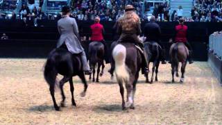 Töltende Traber Messe Pferd und Jagd 2011 Video2 [upl. by Bradford]