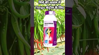 Thrips control insecticide short shorts viral [upl. by Yrannav281]