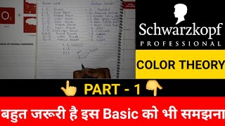 Schwarzkopf Color Theory In Hindi By Salonfact कलर सिख रहें हो एक बार जरुर देखलो [upl. by Godber607]