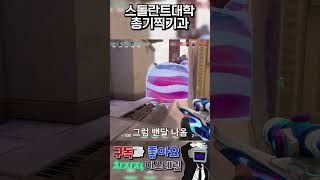 스돌란트대학 총기찍기과mp4 [upl. by Htenywg]