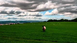 Timelapse Of Sheep From Little Wenlock Nikon D90 4K HDR [upl. by Aerised]