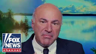 Kevin OLeary This may prove to be a huge mistake for the Democrats [upl. by Sorensen]