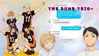 ✨ The Dumb Trio✨  TsukkiKageHina  A Mully skit [upl. by Gilud942]