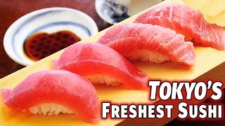 Tokyos Freshest Sushi  Tsukiji Fishmarket [upl. by Nivrem]