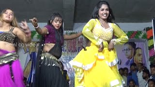 Pushpa ke maya raja re  Pushpa Bharti  kisan Sen stage program  Poonam Sahu  Sejal Cg Video [upl. by Efal]