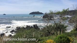 Trinidad California Beach Tour 2016 [upl. by Venus]