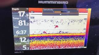 Find the thermocline with your Humminbird [upl. by Kenzie266]