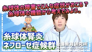 糸球体の障害でどんな症状がおこる？糸球体の機能から考えてみよう。糸球体腎炎、ネフローゼ症候群〜動画版夏季セミナー販売中〜【看護師国試対策】 [upl. by Emelyne]