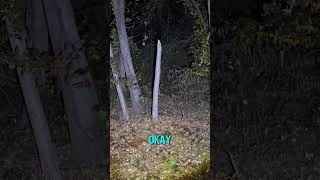 Terrifying Night at Delaware’s Most Haunted Trail New video tonight at 630 pm scary paranormal [upl. by Sukul]