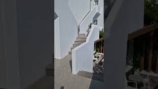 Hotel Petinos Mykonos [upl. by Yttig]