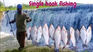 Mix Fishing video  Fish Catching Techniques  Tilepia Fishing [upl. by Aleibarg]