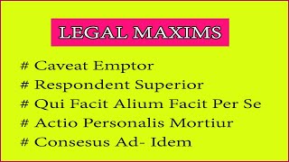 Legal Maxim  4 Contract Related Maxims With Examples And Case Laws [upl. by Wilkey]