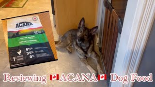 🇨🇦 ACANA 🇨🇦 Canadian Made Dry Dog Food Review [upl. by Yenmor478]