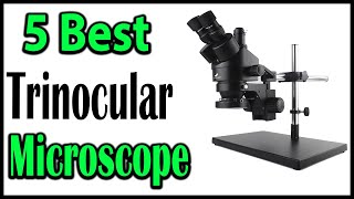 TOP 5 Best Trinocular Microscope Review 2024  Aliexpress [upl. by Notnats]