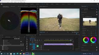 how to set color in Adobe Premiere Pro [upl. by Ennayd]