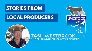 Stories from Local Livestock Producers in South Australia  Tash Westbrook [upl. by Yrotciv]