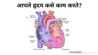 Human Heart Working  संपूर्ण माहिती मराठीतून  MPSC UPSC  Vijay Kadam [upl. by Sofer]