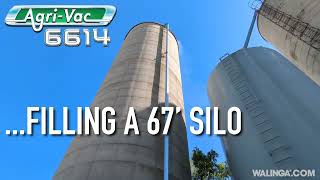 Walinga 6614 AGRI VAC blowing wheat into a silo [upl. by Kalil264]