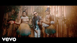 Phyno  Nnunu Official Video ft Stormrex [upl. by Attenaej]